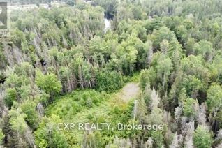 Commercial Land for Sale, Lot A Chippawa Road, Madawaska Valley, ON