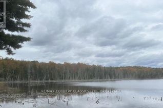 Commercial Land for Sale, Lt 1, Pl 1839 Bull Lake Road, Frontenac (Frontenac Centre), ON