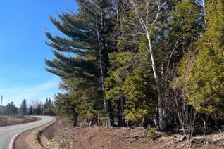 Property for Sale, 18 Acres Highway 256, West Branch, NS