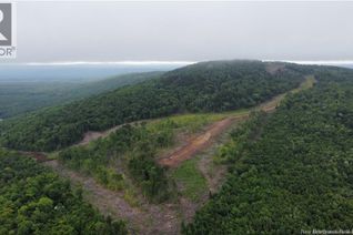 Land for Sale, Lot 14 Crabbe Mountain, Central Hainesville, NB
