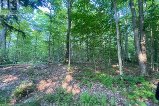 Property for Lease, 1310 Camel Lake Road #Lot # 7, Muskoka Lakes (Watt), ON