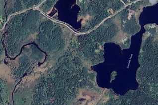 Commercial Land for Sale, 55a Skibberean Road, Holyrood, NL