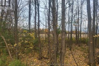 Commercial Land for Sale, Lot 5 Bush Road, Rideau Lakes, ON