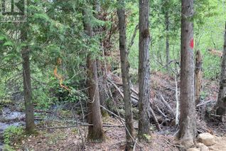 Commercial Land for Sale, Lot 28 Concession 11, Lake of Bays (Franklin), ON