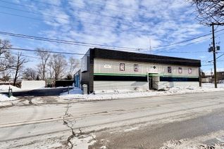 Commercial/Retail Property for Lease, 66 william St N, Kawartha Lakes, ON