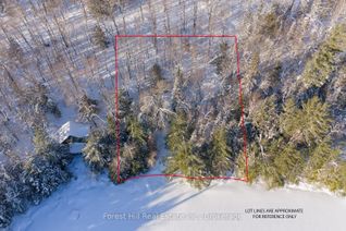 Land for Sale, 1107 Crane Lake Rd, Algonquin Highlands, ON