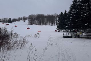 Land for Sale, 39 Pine River Cres, Mulmur, ON