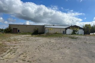 Industrial Property for Sale, 80 Davidson St, Brock, ON