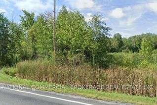Property for Sale, 9152 Old Homestead Rd, Georgina, ON
