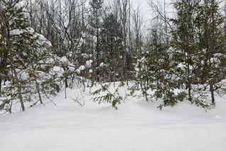 Land for Sale, 180 Bowles Bluff Rd, Grey Highlands, ON