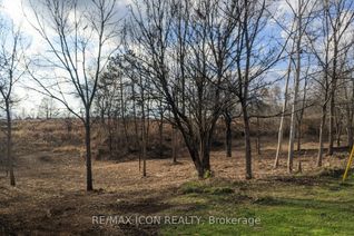 Land for Sale, 237 Frederick St W, Southwest Middlesex, ON