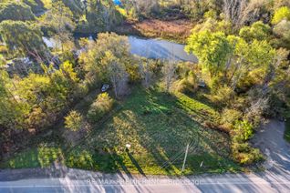 Vacant Residential Land for Sale, 294 Lyon's Creek Rd, Niagara Falls, ON Vacant Residential Land for Sale, 294 Lyon's Creek Rd, Niagara Falls, ON