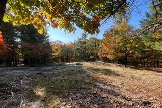Land for Sale, 13 Ridgeway Dr, Carling, ON
