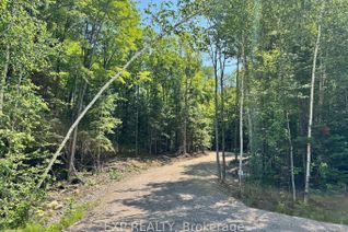 Vacant Residential Land for Sale, Lot 2 Lakewoods Dr, Madawaska Valley, ON