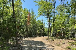 Vacant Residential Land for Sale, Lot 8 Lakewoods Dr, Madawaska Valley, ON