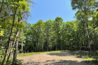 Vacant Residential Land for Sale, Lot 17 Lakewoods Dr, Madawaska Valley, ON