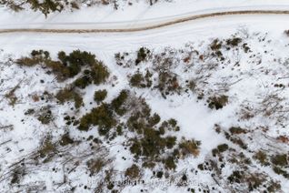 Land for Sale, 0 POTTER SETTLEMENT Rd, Tweed, ON
