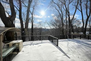 House for Rent, 3 Ravenwood Pl #Lower Leve, Toronto, ON