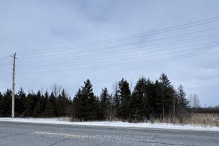 Commercial Land for Sale, LOT County Road 31 Rd, South Dundas, ON Commercial Land for Sale, LOT County Road 31 Rd, South Dundas, ON