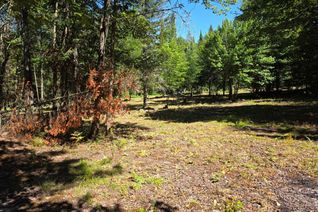 Land for Sale, 00 Whitney Rd, Perry, ON