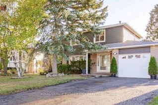 Detached House for Rent, 12 Gondola Cres #Basement, Brampton, ON