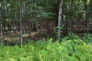 Land for Sale, LT 26 Frank St St, Magnetawan, ON Land for Sale, LT 26 Frank St St, Magnetawan, ON