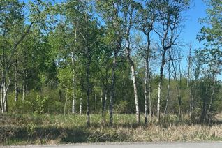 Vacant Residential Land for Sale, CON 7 PT LT 1 Ravenshoe Rd, Georgina, ON