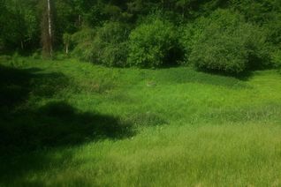 Vacant Residential Land for Sale, Part 3 Main St #19904, Caledon, ON Vacant Residential Land for Sale, Part 3 Main St #19904, Caledon, ON