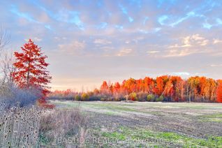 Land for Sale, 12880 Ort Rd, Niagara Falls, ON Land for Sale, 12880 Ort Rd, Niagara Falls, ON