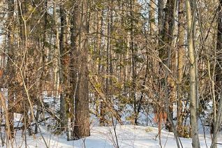 Vacant Residential Land for Sale, 0 Sugarbush Cres, Trent Lakes, ON