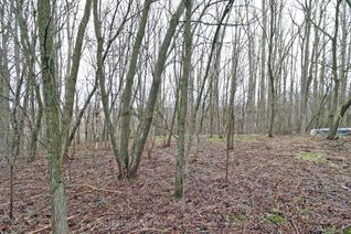 Vacant Residential Land for Sale, 207 Goodfellow Rd, Brighton, ON Vacant Residential Land for Sale, 207 Goodfellow Rd, Brighton, ON