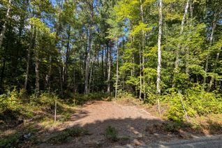 Vacant Residential Land for Sale, 2206 YEARLEY Rd, McMurrich/Monteith, ON