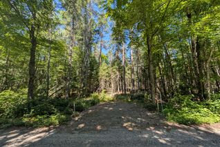 Vacant Residential Land for Sale, 2246 YEARLEY Rd, McMurrich/Monteith, ON