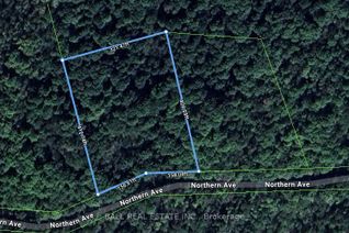 Vacant Residential Land for Sale, 0 Northern Ave, Trent Lakes, ON