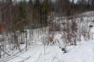 Vacant Residential Land for Sale, Lot 0 County Road 38 N/A, Frontenac, ON