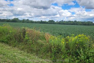Vacant Residential Land for Sale, 2651 Wessel Dr, Pelham, ON Vacant Residential Land for Sale, 2651 Wessel Dr, Pelham, ON