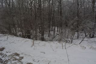 Vacant Residential Land for Sale, 0 Sucie Rd, Highlands East, ON