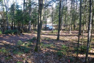Property for Sale, PCL 20438 & 29803 Upper Walker Lake Rd, Lake of Bays, ON
