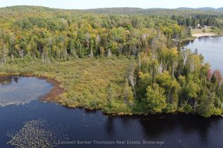 Vacant Residential Land for Sale, 1471 Pickerel & Jack Lake Rd, Armour, ON