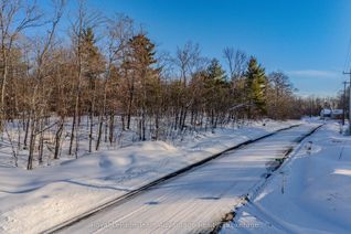 Vacant Residential Land for Sale, 0 Hoddy's Side Rd, McDougall, ON