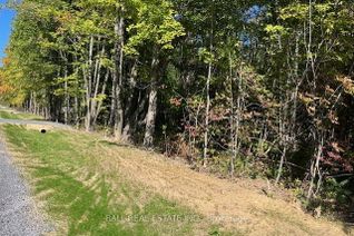Vacant Residential Land for Sale, Pt 33A & Pt 33B Autumn Rd N, Trent Hills, ON