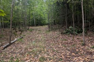 Vacant Residential Land for Sale, 00 Kamaniskeg Lake Rd, Hastings Highlands, ON