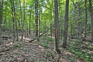 Land for Sale, 0 Lyndsey Ln #Part 1, McKellar, ON Land for Sale, 0 Lyndsey Ln #Part 1, McKellar, ON