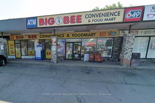 Property, 434 Lake St, St. Catharines, ON
