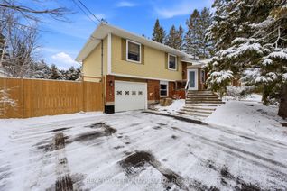 Sidesplit for Sale, 392 Country St, Mississippi Mills, ON