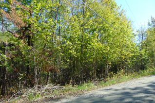 Land for Sale, Lot 11 Plan 580 North Dr, Dysart et al, ON Land for Sale, Lot 11 Plan 580 North Dr, Dysart et al, ON