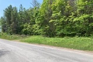 Vacant Residential Land for Sale, 338 Glen Allen Rd S, Marmora and Lake, ON