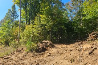 Vacant Residential Land for Sale, Part Lot 32 and 33 Part 2 Conc 1 Concession, Minden Hills, ON