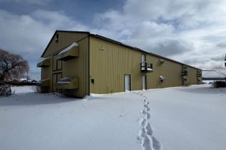 Property for Lease, 641 Canal Rd #Barn 4, Bradford West Gwillimbury, ON
