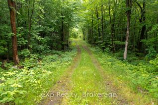 Vacant Residential Land for Sale, 3 Kingfisher Rd, McDougall, ON